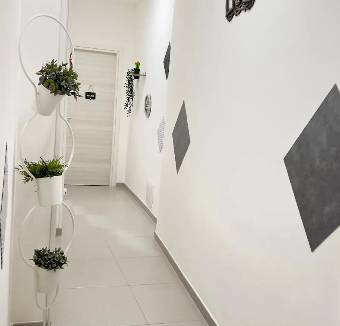 Guest house Diego Hause Duomo Costa Naples